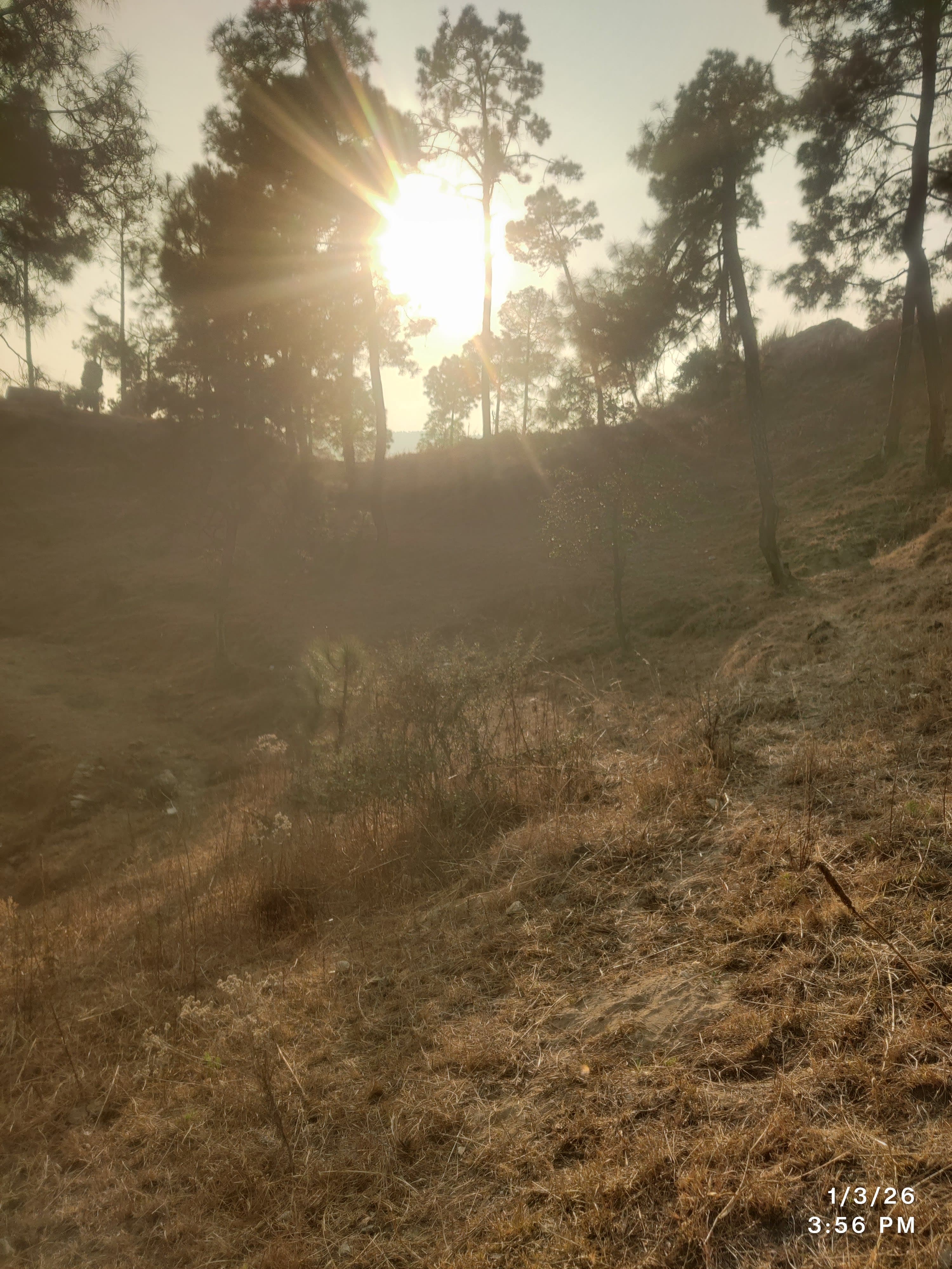 3.5 Nali Valley-View Property for Sale | Centrally Located Between Almora, Jageshwar, Kasar Devi & Chitai | 1.5 km Down to Riverside